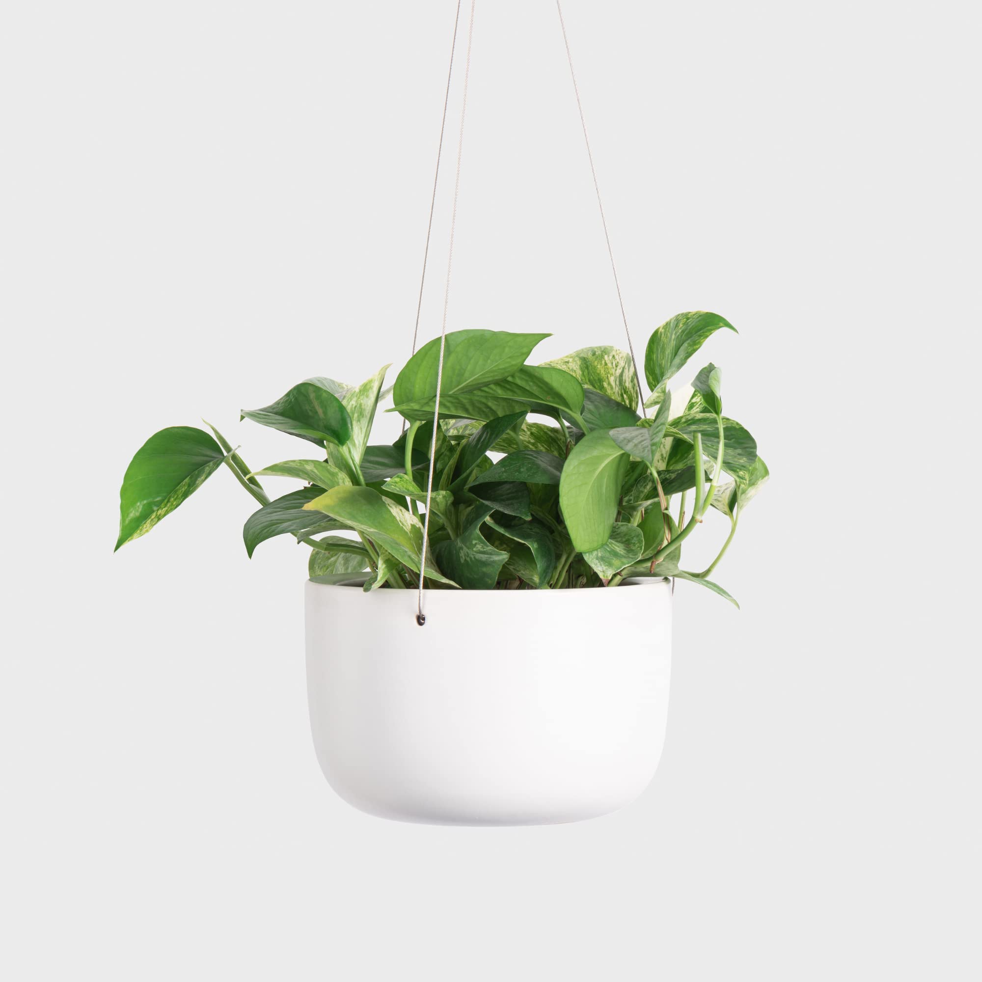 PEACH & PEBBLE 8" White Ceramic Hanging Planter. Plant Pot for Hanging Houseplants and Vines (Metal Wires and S Hook Included).