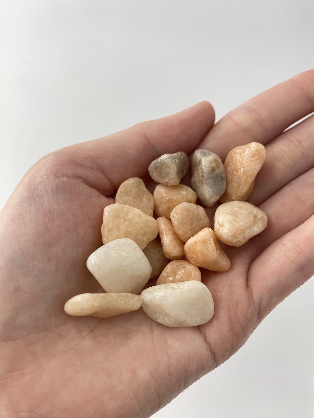 貝殻 砂・ソイル 1kg Amazon.co.jp: 【貝殻の問屋さん】玉砂利 【萩（はぎ）】 1KG