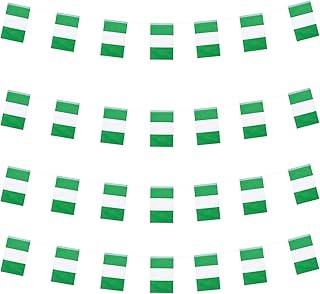 WXTWK Nigeria Flags Nigerians Small Mini Pennant String Banner Flag Festival Decorations(50 Feet 38 Flags)