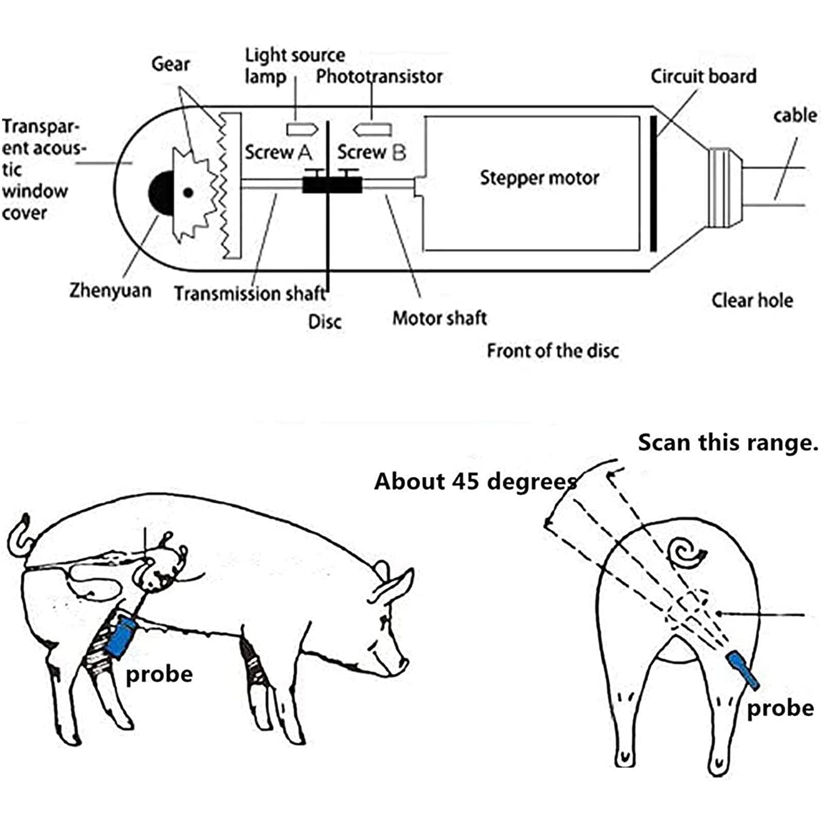 Scanner Portatile per veterinaria Macchina Digitale, Scanner a ultrasuoni B Portatile per Animali per scrofe e capre