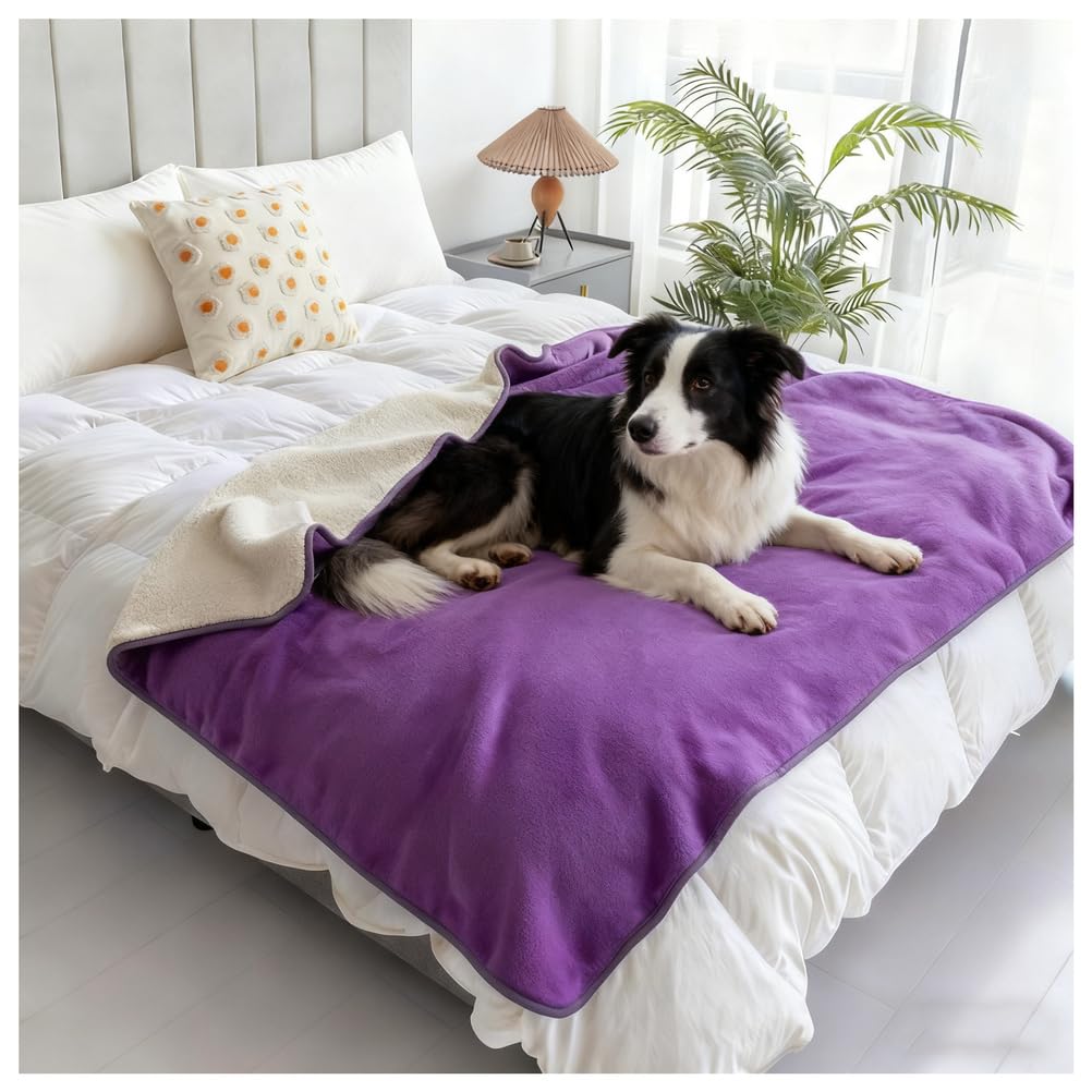 Couverture douce et anti-pipi pour chien, chiot, chat – Couverture imperméable en polaire Sherpa pour chiens et chats de petite, moyenne et grande taille, 200,7 x 228,6 cm, violet