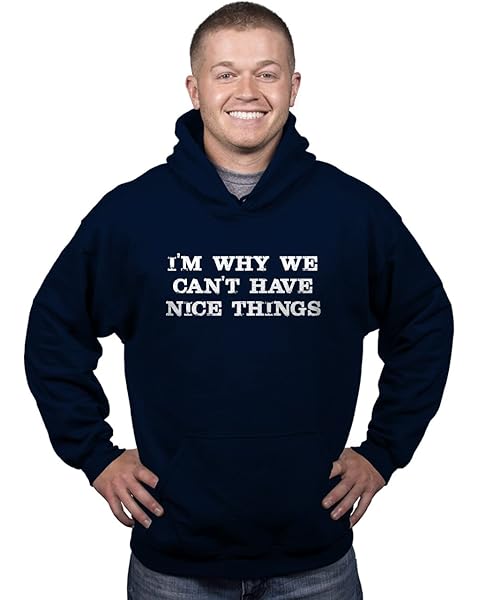 Crazy Dog T-Shirts Im Why We Cant Have Nice Things Funny Mocking Unisex Pull Over Hoodie