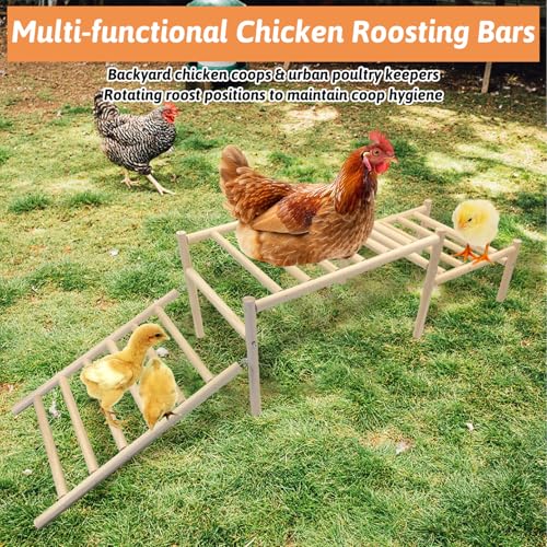 Image of Hamiledyi Sloped Chicken Perch for Coop - Climbable Roosting Perch with Playground Design, Encourages Natural Exercise & Healthy Climbing Activity for Hens (Easy Assembly)