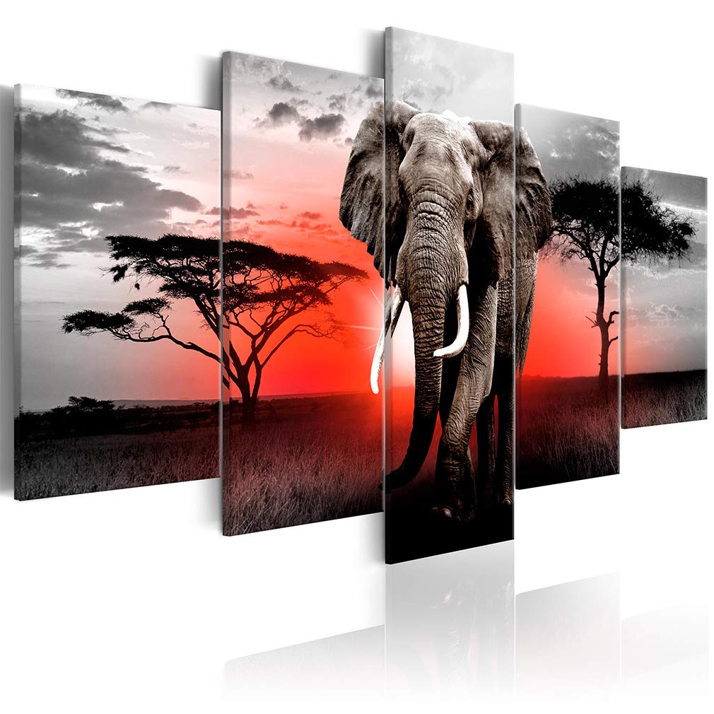 decomonkey Quadri Moderni Soggiorno Africa Animali, 5 pezzi, 200x100 cm | Tela strutturata su telaio in legno, decorazione da parete, paesaggio, natura, Quadro Stampa su Tela
