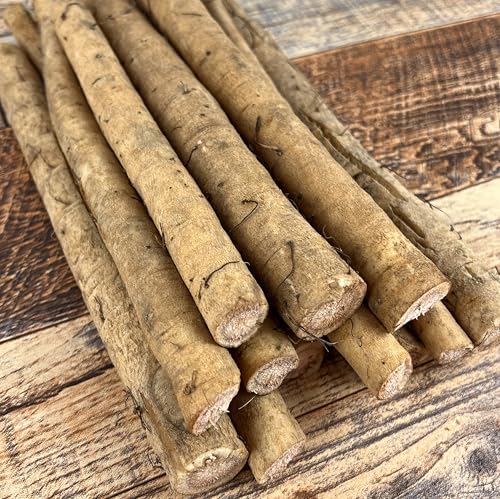 Fresh Burdock Root, Japanese Gobo, Non-GMO, for Cooking and Planting (1 lb)