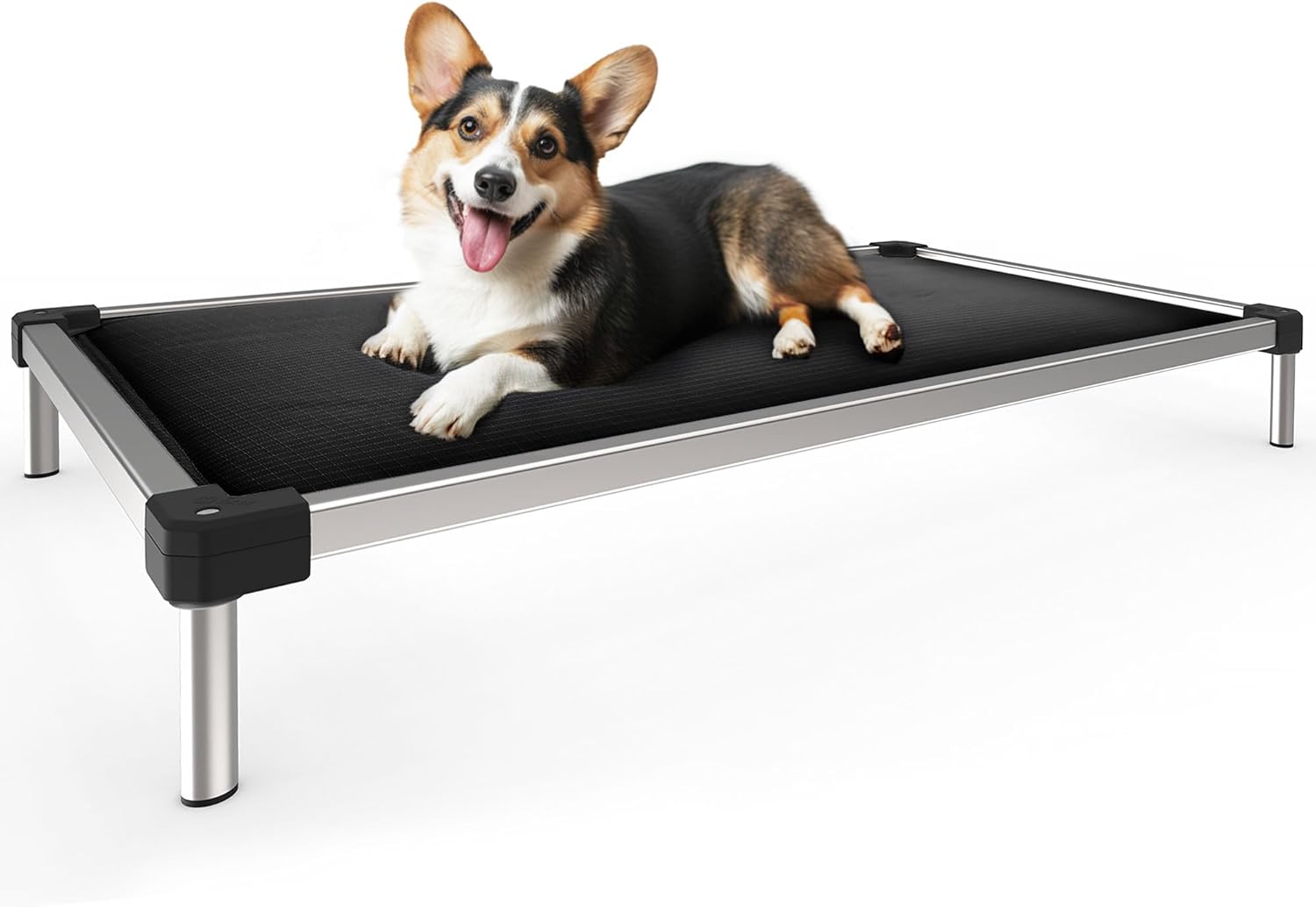 FXW Titanest Chew Proof Elevated Dog Bed for Chewers, Dog