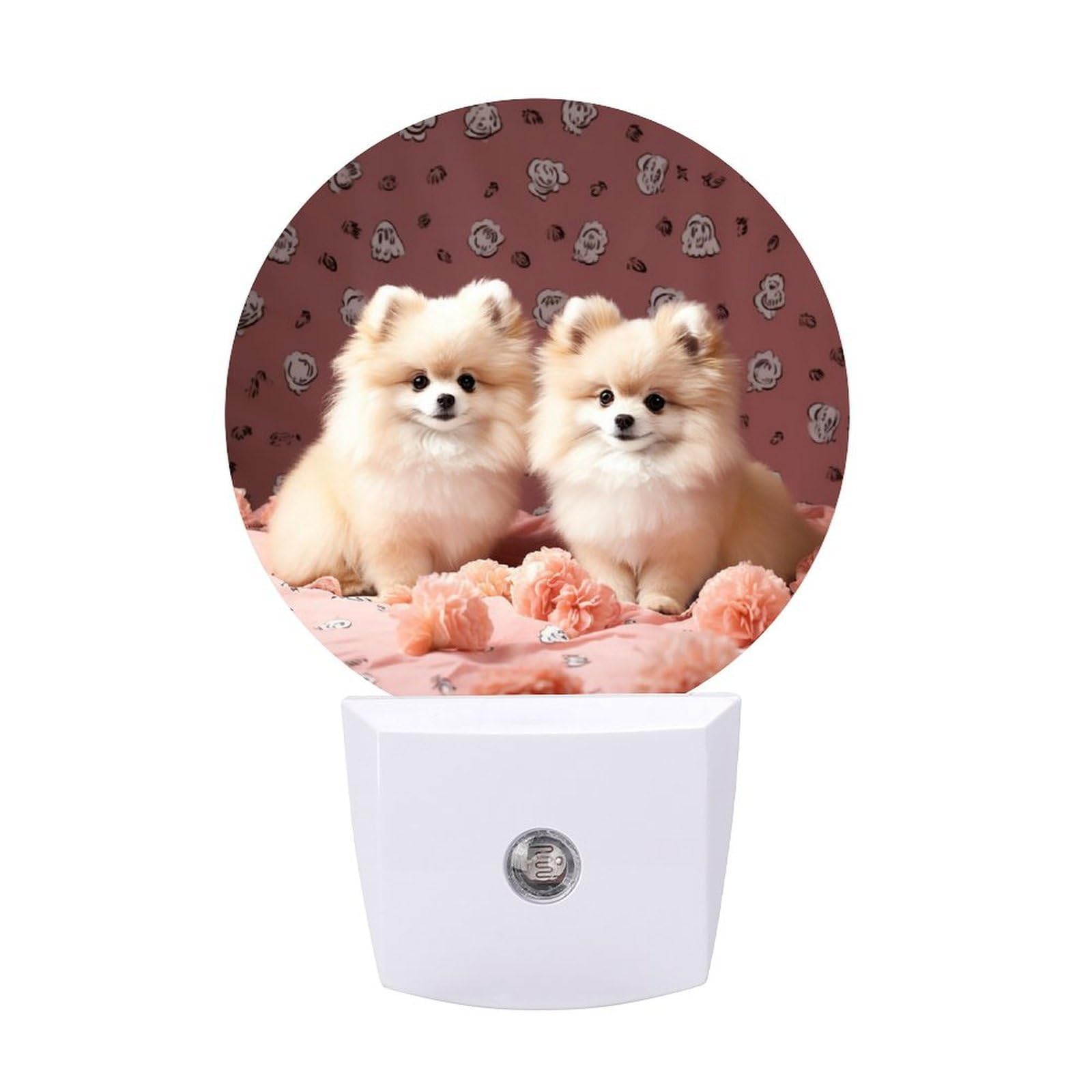 Pomeranians Puppies and Point LED Night Lights Plug Into Wall