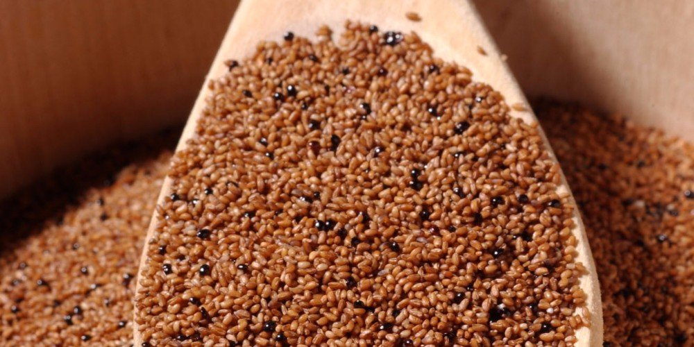 TEFF GRAIN- 55lb