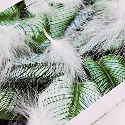 Hileyu White Feathers for Crafts 100 Pcs Natural Fluffy Soft Feathers for Diy Earrings Clothing Dreamcatcher Craft Wedding Party Decorations