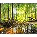 Produktbild decomonkey Fototapete selbstklebend Wald 3D 294x210 cm XXL Selbstklebende Tapeten Wand Fototapeten Tapete Wandtapete klebend Klebefolie Natur Landschaft Baum