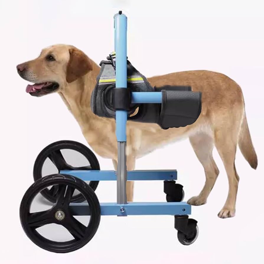 Amazon.co.jp: 犬 車椅子 前足用の青い犬用車椅子、 4輪の調節