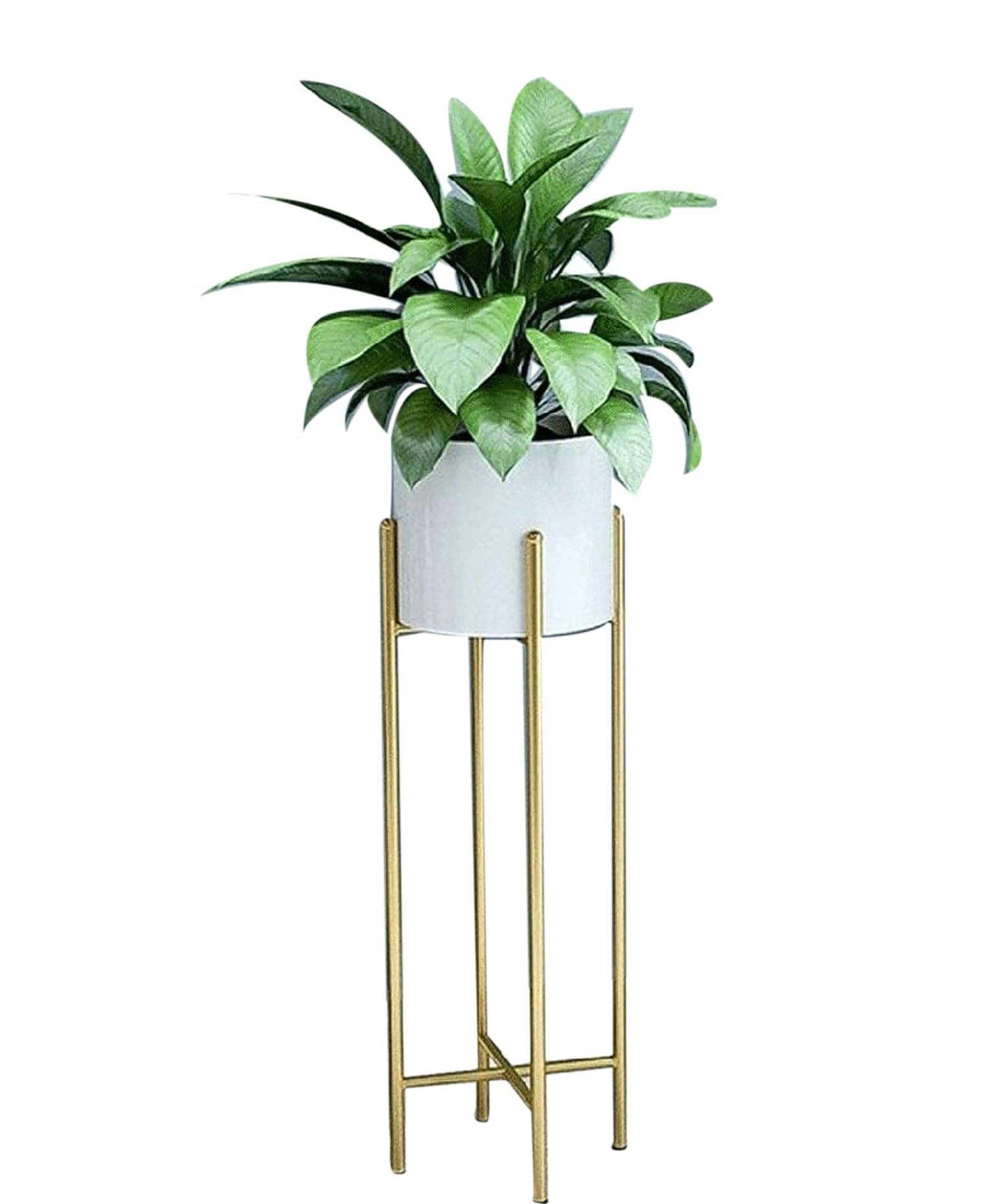 Neumark Iron Tall Plant Stand Gold and White Indoor Outdoor Home and Garden Planter Pot Stand with Pot size-75 cm Height (Gold, Iron) (B07YYBYXS1) Amazon Price History, Amazon Price Tracker