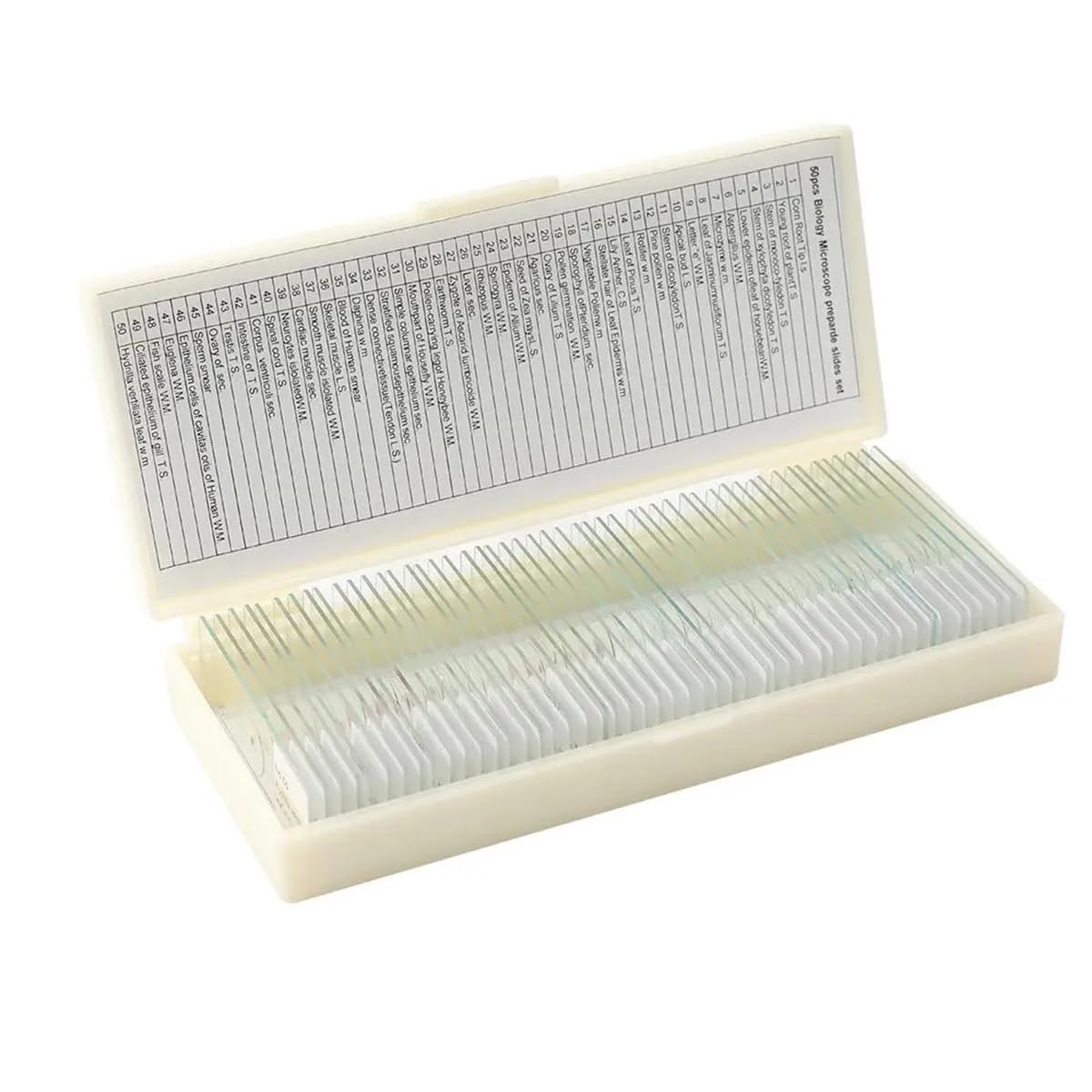 Kit di accessori per microscopio 50 vetrini for microscopio scientifici for tessuti di base preparati for campioni biologici Vetrini per microscopio