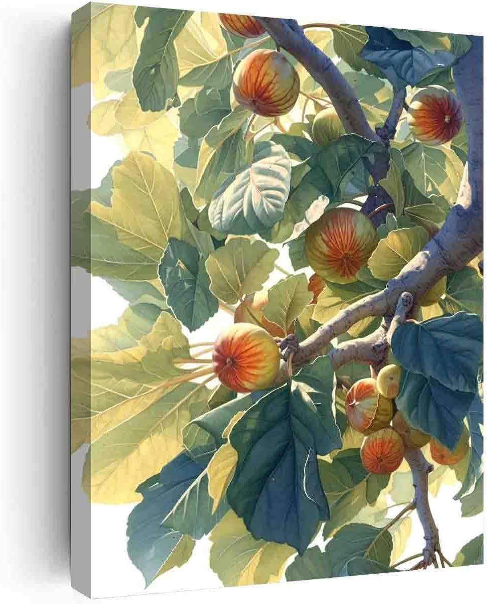 GeRRit Fig art watercolors painting,kitchen decor wall,canvas art office,minimalist wall art for school,nursery,playroom,family room decor 16""x24"" canvas print with frame, red-9