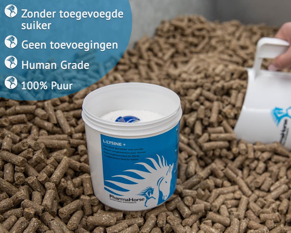 PharmaHorse L-Lysin+ | Immunsystem | Abwehrzellen | Müdigkeit | 100% Dopingfrei | 3000 Gramm