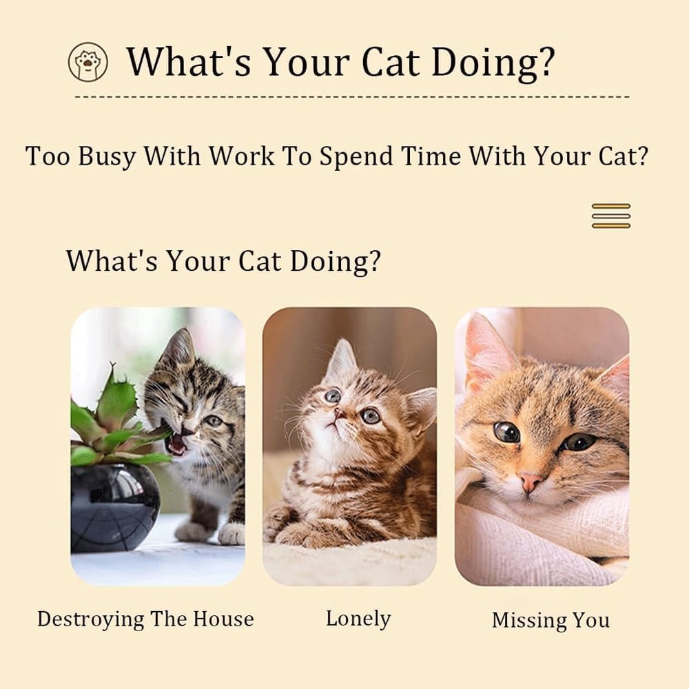 Cat Scratch Puzzle Enrichment Box Nail File Alternative to Clippers and Grinders Funny Cat Nail File Enrichment Box