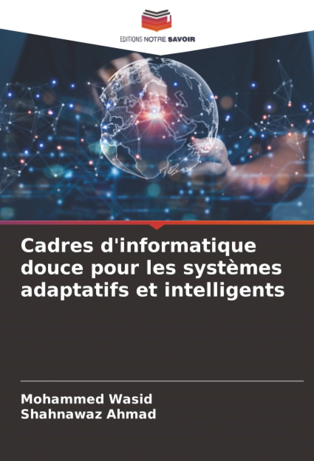 Cadres d'informatique douce pour les systèmes adaptatifs et intelligents