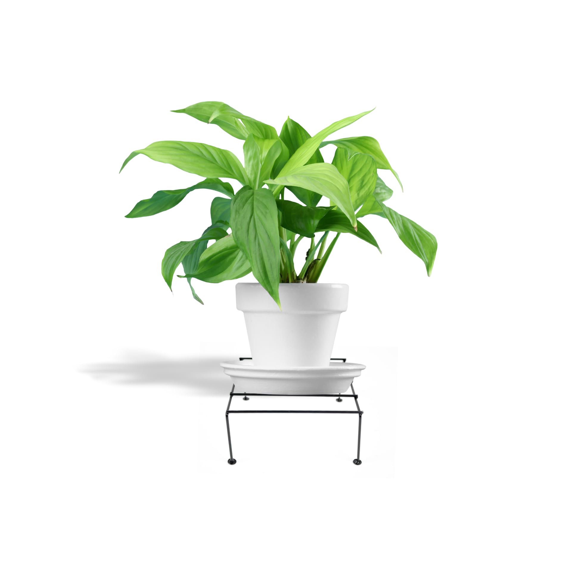 NAYRA® s Metal Planter Stands Black Color Modern and Durable Square Shape Planter Stand /Planter Holder for Indoor and Outdoor (Set of 1 Stand) (B0CRJWYYJT) Amazon Price History, Amazon Price Tracker