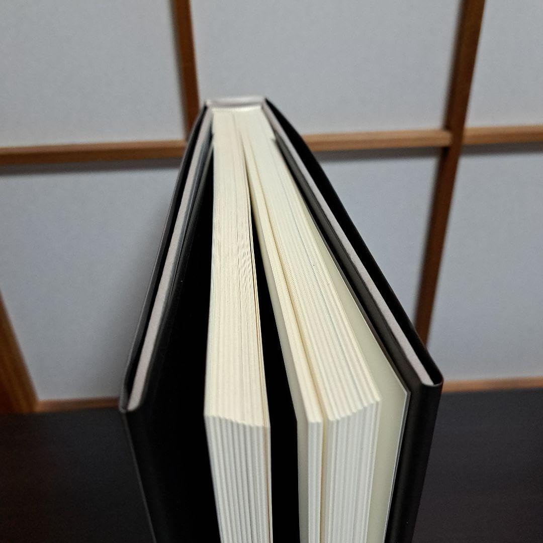 Amazon.co.jp: 歴史の歴史 杉本博司 新素研 2008年 : 文房具・オフィス用品