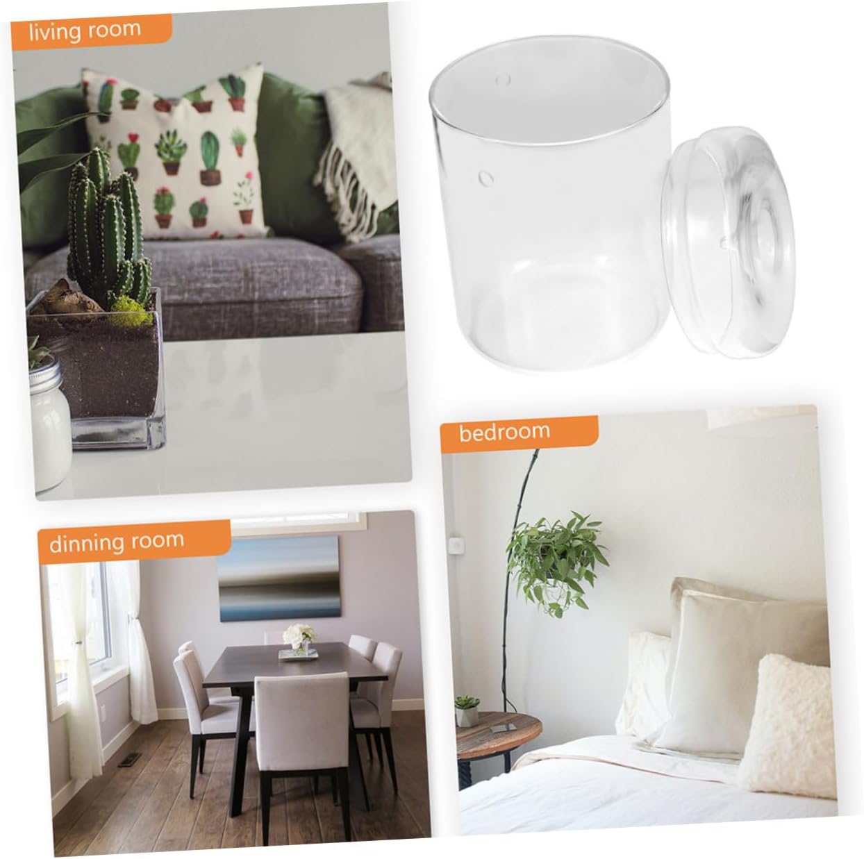 Bottle Plant Terrarium Holder Glass Landscape Container for Decorative Diy Plants