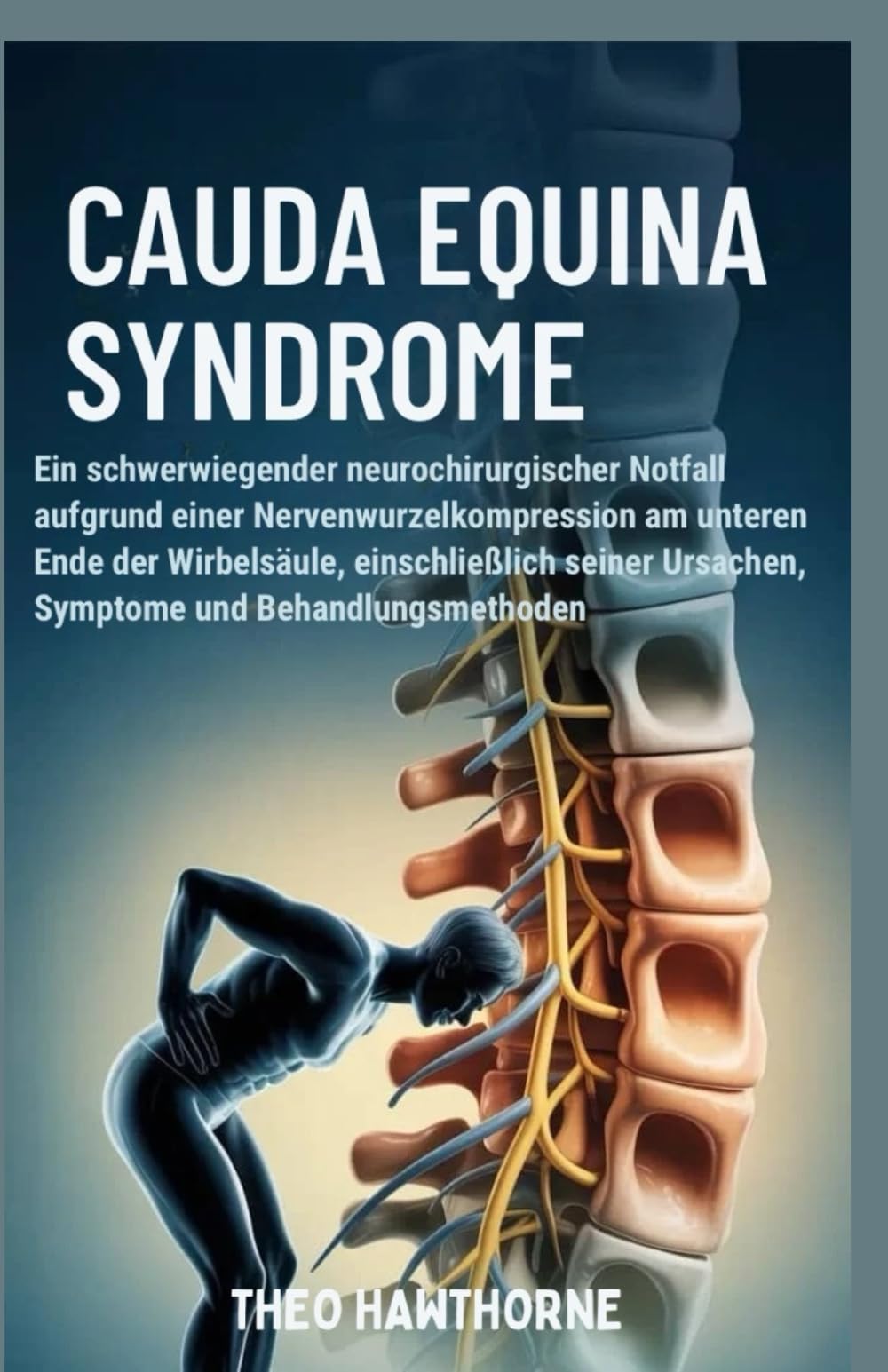 Cauda Equina Syndrome: Ein schwerwiegender neurochirurgischer Notfall aufgrund einer Nervenwurzelkompression am unteren Ende der Wirbelsäule, einschließlich seiner Ursachen, Symptome und Behandlungsme