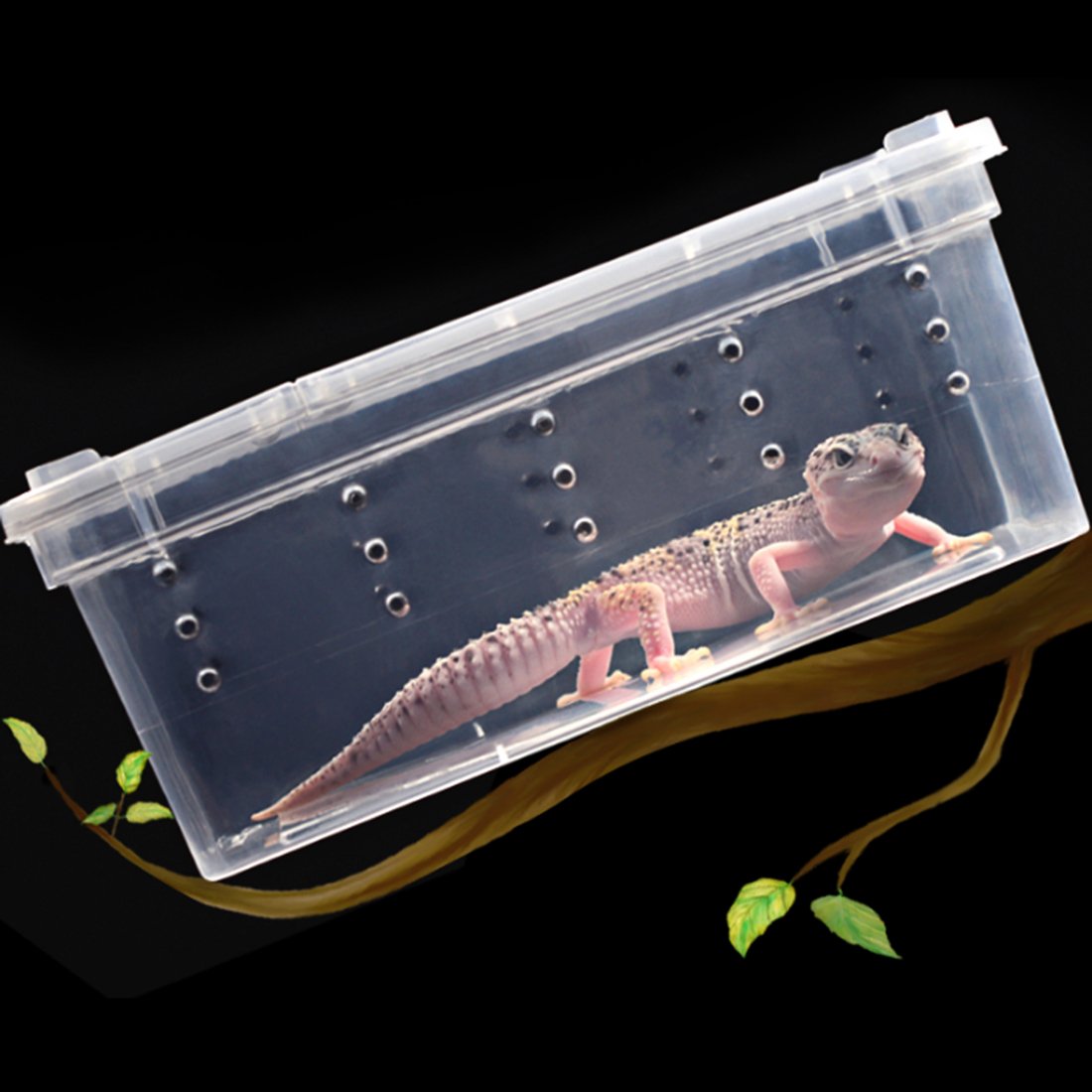 Breeding Box 5pcs, Petforu Worm Dish Reptile Feeding Box Food Container Small Size (Transparent White S)