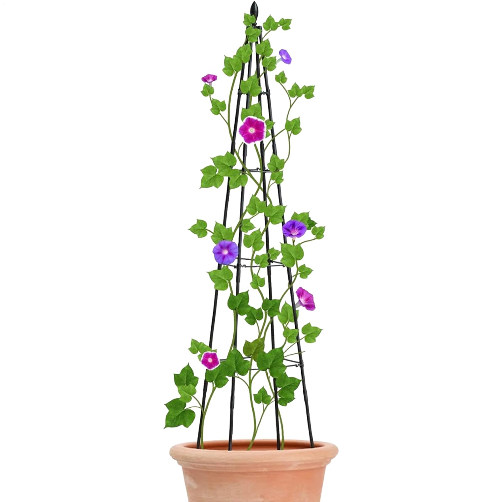 Fil de support de tige de vigne et cage à fleurs anti-affaissement