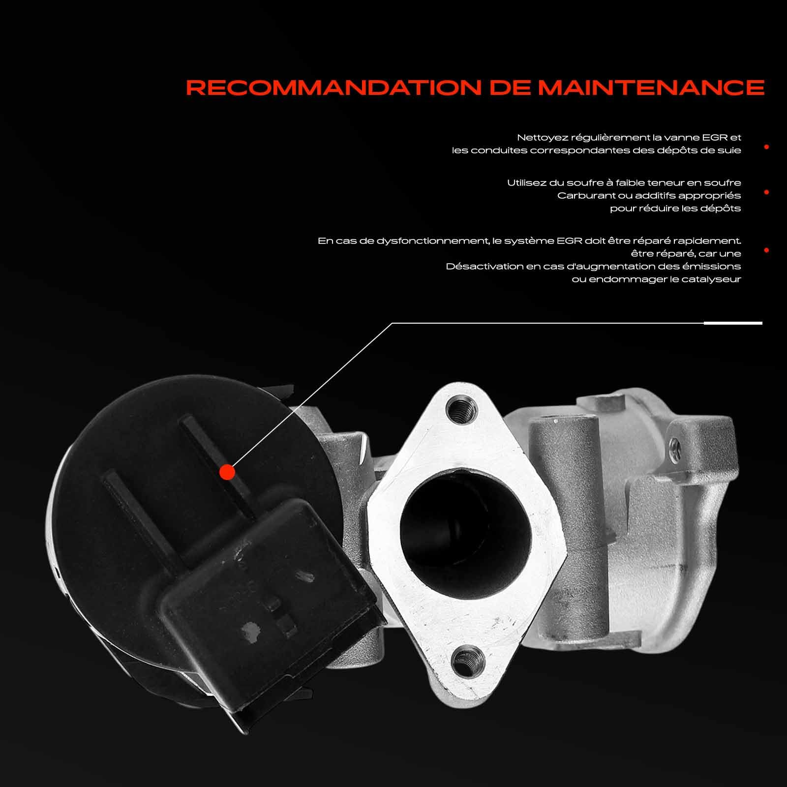 Frankberg Vanne EGR 5 broches EG10395-12B1 | Compatible avec: Jumpy VF7, C5 Break TD_, 607 9D 9U, V50 MW, 508, Boîte Scudo 270, 307 Pause 3E
