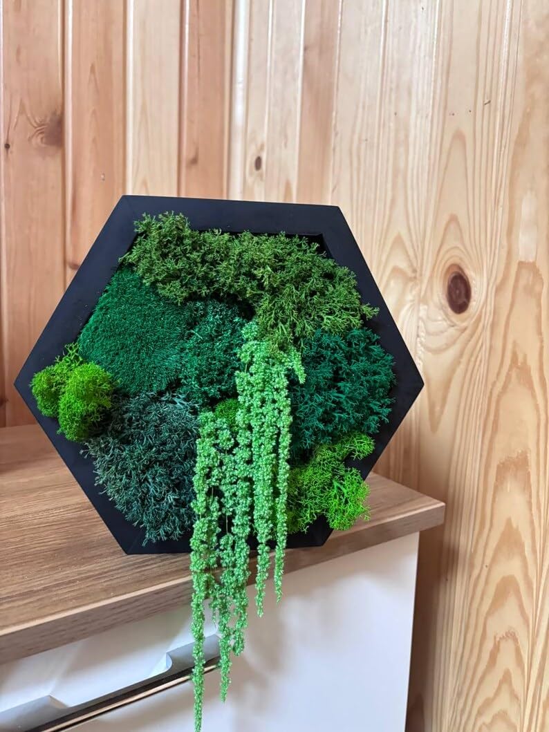 Moss Hexagons