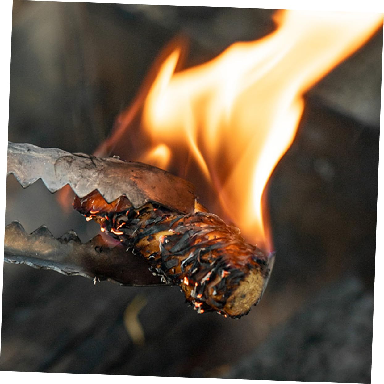 BESPORTBLE 50pezzi Accendifuoco Naturali Legno Accendi Barbecue e Campeggio Facili da Usare e Compatibili Forni
