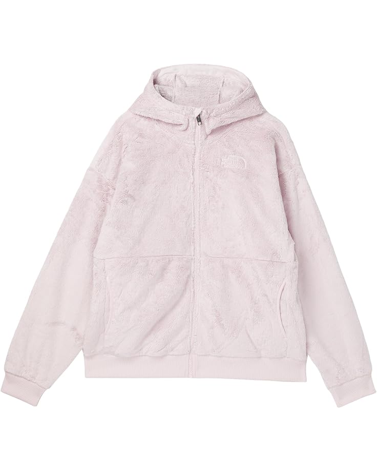 The North Face Kids Osito Full Zip Hoodie (Little Kid/Big Kid) - Main View