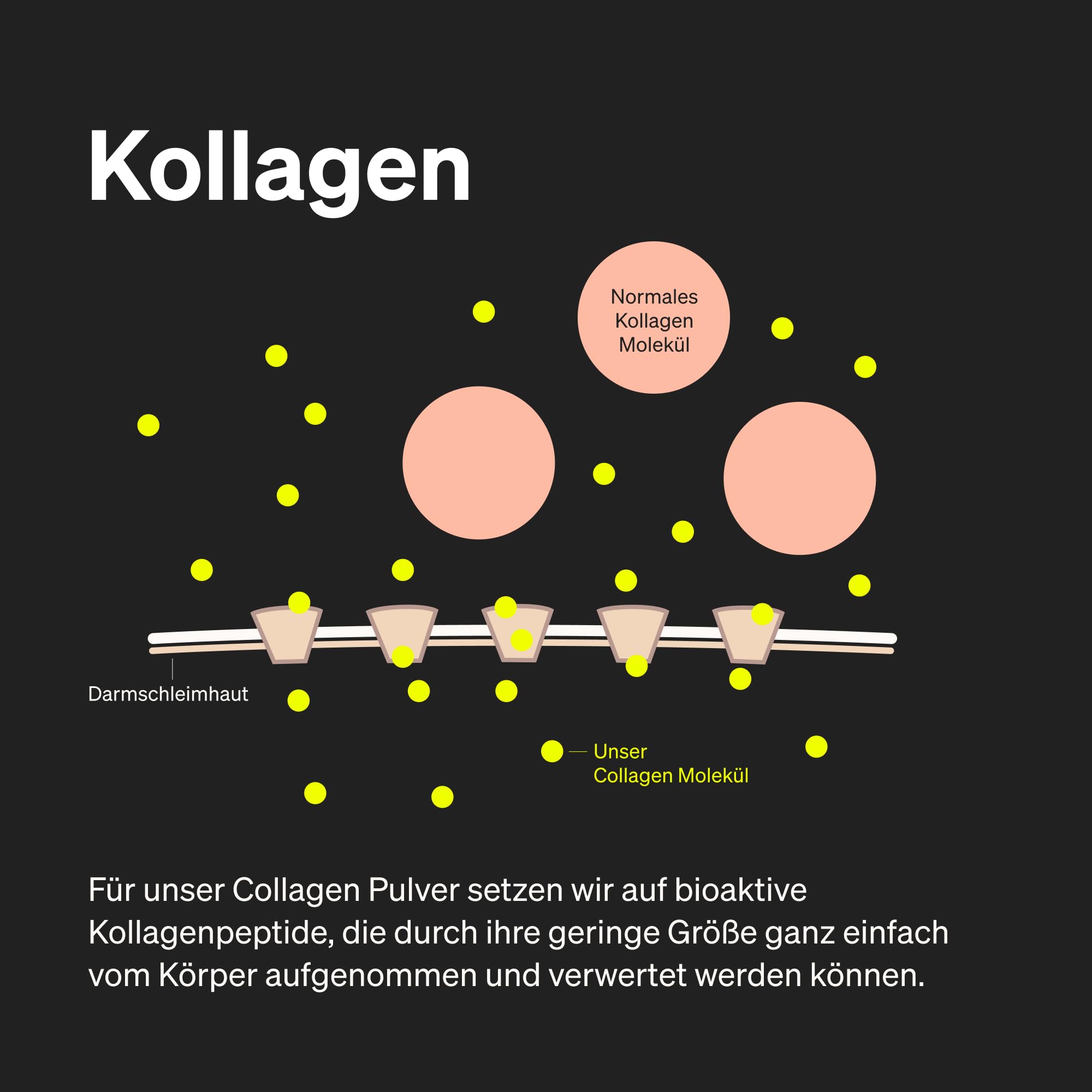 natural elements Hyaluronsäure Kollagen Komplex - 180 Kapseln - Angereichert mit Biotin, Selen, Zink, Vitamin C aus Acerola & Bambusextrakt - Laborgeprüft