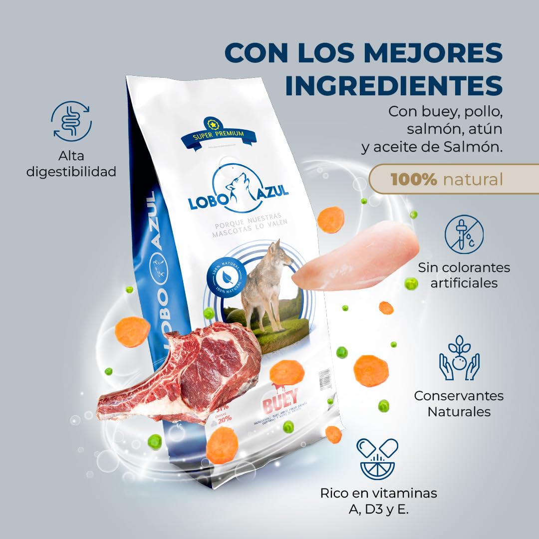 Pienso Super Premium Buey - Alimento para Perros Adultos con Buey, Pollo, Salmón, Atún y Aceite de Salmón - Natural - Sin Gluten - Actividad Alta - Lobo Azul