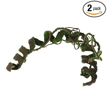 VMS INDIARepitals Climbing Jungle Vine Natural Habitat Decor for Lizard Geckos S