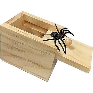 Spider Prank Box Gag Gift, Funny Surprise Gift Box