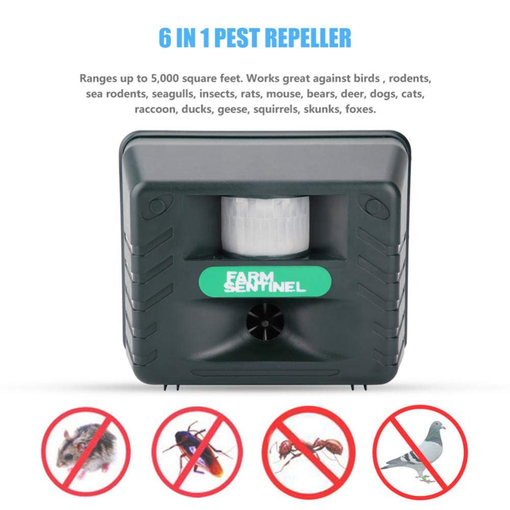 Control ultrasónico de Animales para Exteriores, Repelente electrónico de plagas de 4 Sonidos de Alarma con Sensor infrarrojo para Aves, Animales Salvajes(EU Plug 220V)