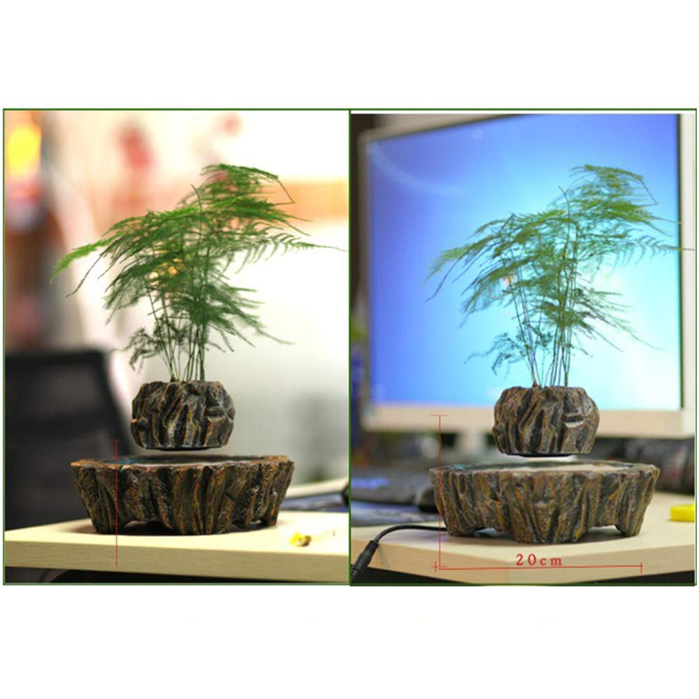 Amazon.co.jp: 空中浮遊盆栽、空気植物観葉植物、磁気懸濁液鉢植え植物