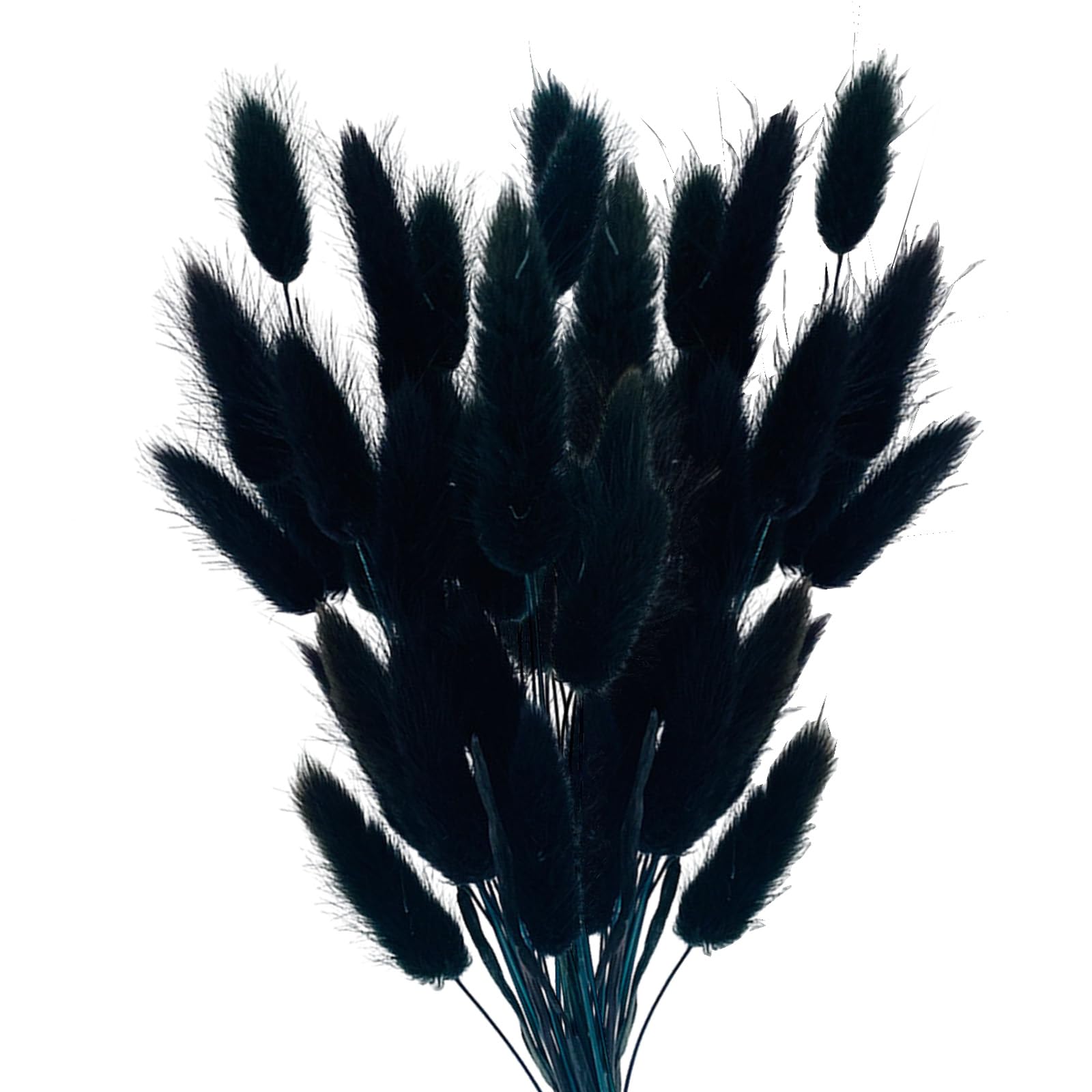 Vellivar Black Bunny Tails Pampas Grass Home Decor Dried Grasses for Vases Cake, 50pcs Rabbit Tails Bouquet Small Dried Flowers Table Decoration Room