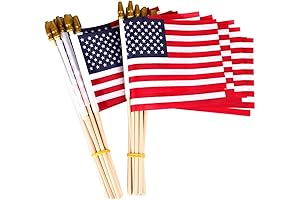 25 Pack Mini American Flags on Sticks - 5x8 Inch - Hand...