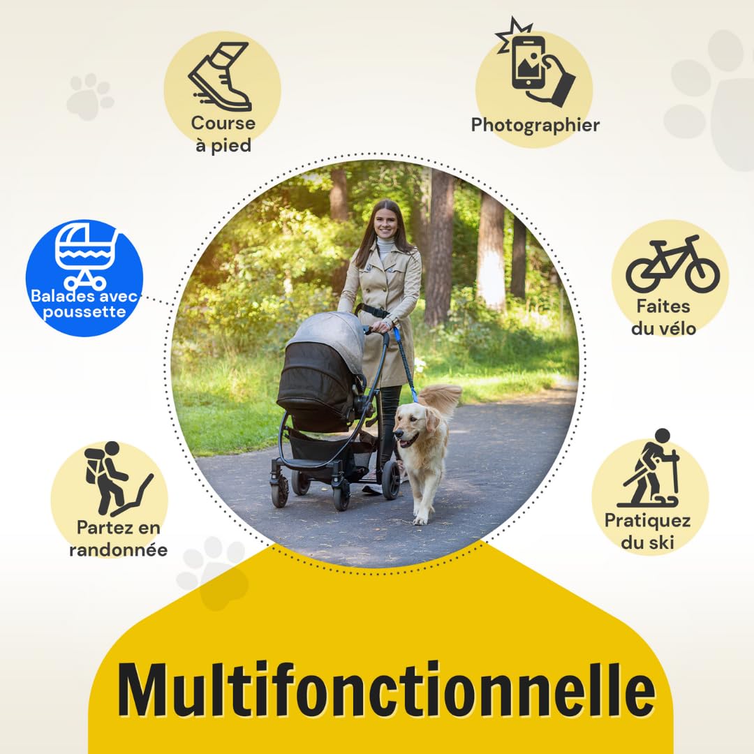 Hundefreund Laisse de Jogging avec Ceinture | Laisse pour Canicross de 120 à 180 cm pour Chiens de Taille Moyenne à Grande | Faites du Vélo, de la Course à Pied et de la Randonnée aux Mains Libres