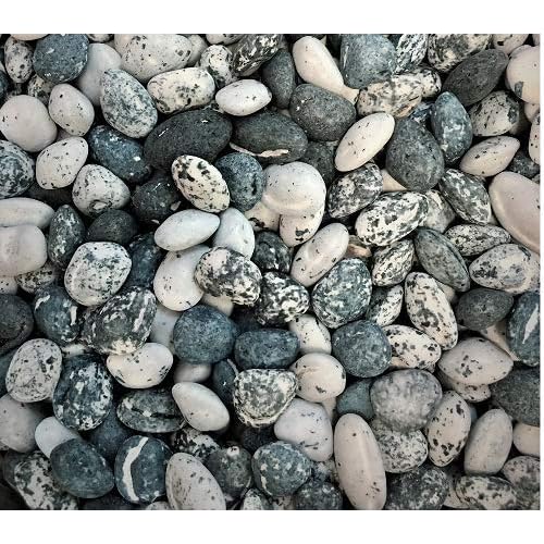 Edible Rocks Edible Rocks