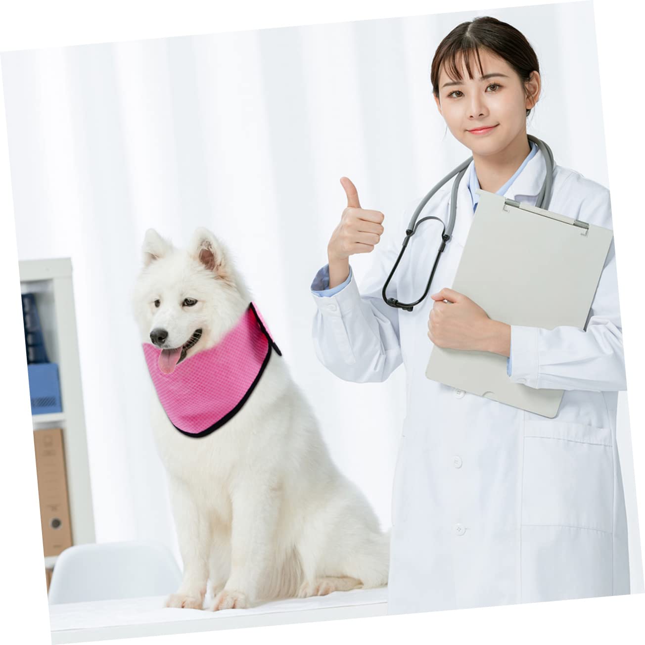 Housoutil 4stücke Kühlendes Hundetuch Atmungsaktive Kühlbandana Für Hunde Für Sommeraktivitäten Wie Und Sport Mit Punkten Punkten
