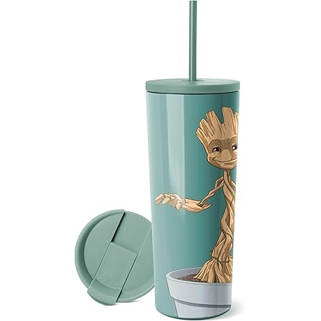 Groot Stainless Steel Water Bottle with Flip Lid and Straw