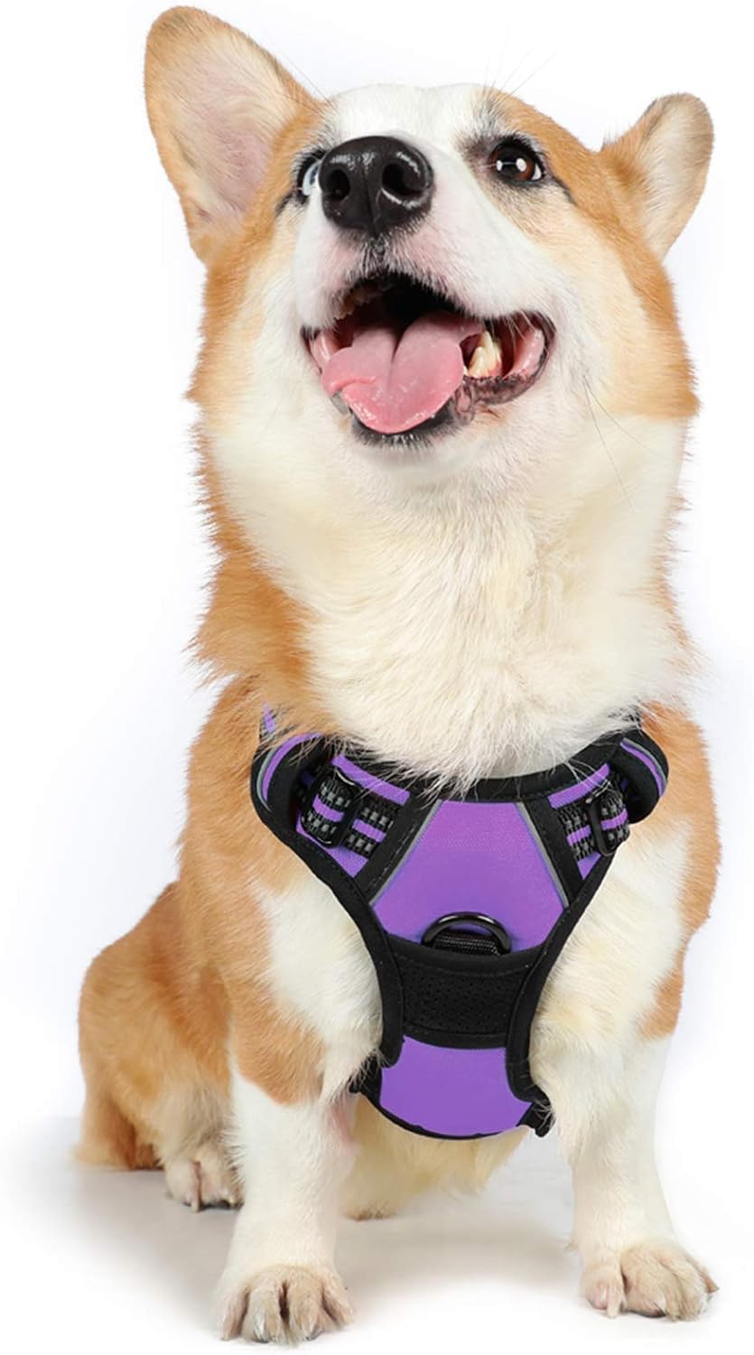 rabbitgoo Dog Harness Medium No Pull Pet Harness with 2 Leash Clips, Adjustable Soft Padded Pet Vest