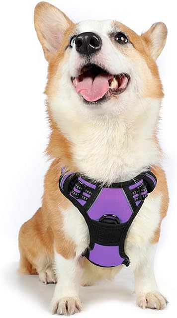 rabbitgoo Dog Harness Medium No Pull Pet Harness with 2 Leash Clips, Adjustable Soft Padded Pet Vest Harness, Reflective No-Choke with Easy Control Handle for Training or Walking, Purple, M