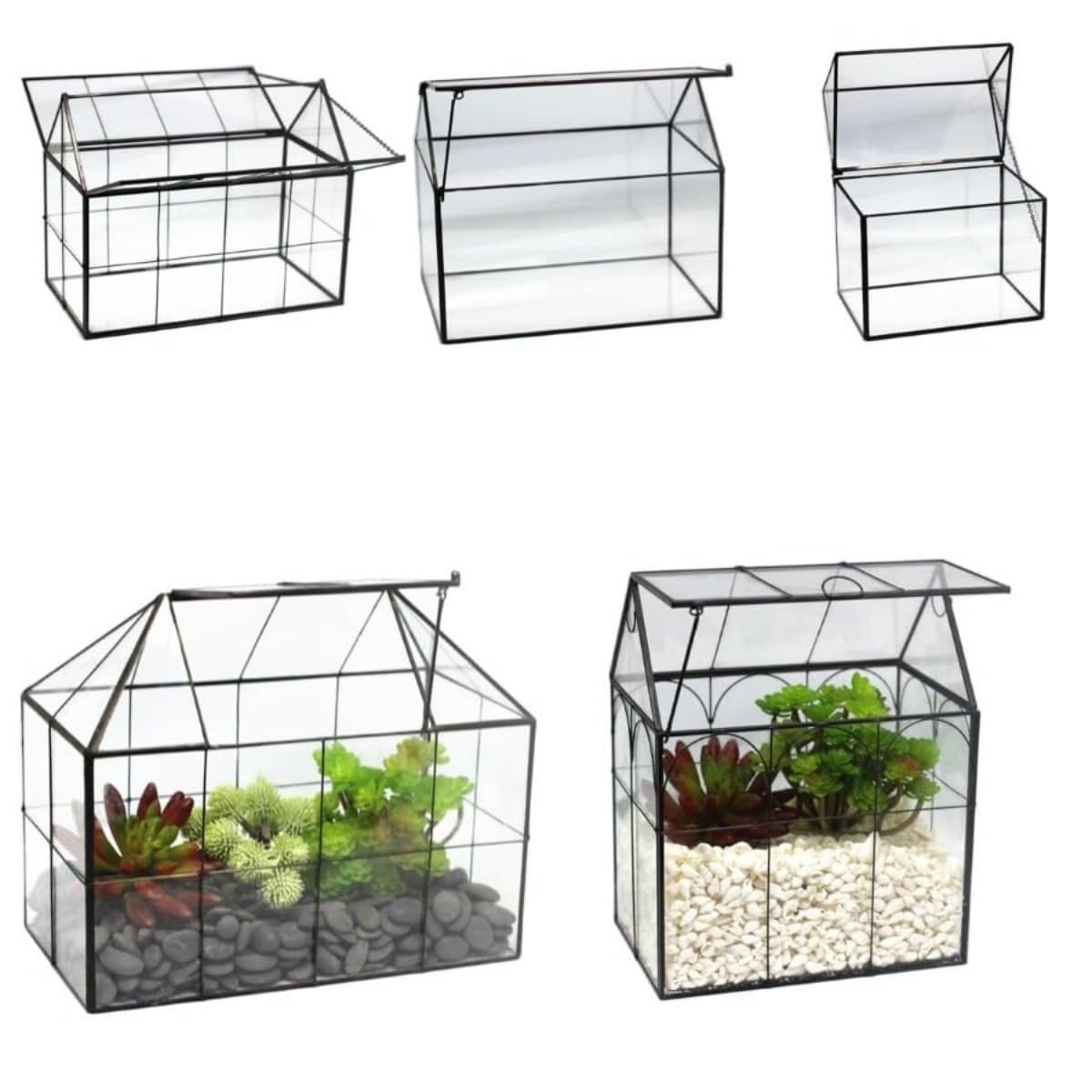 Amazon.co.jp: Quirix 卓上温室ガラス 窓付き 小型 ミニ温室 室内