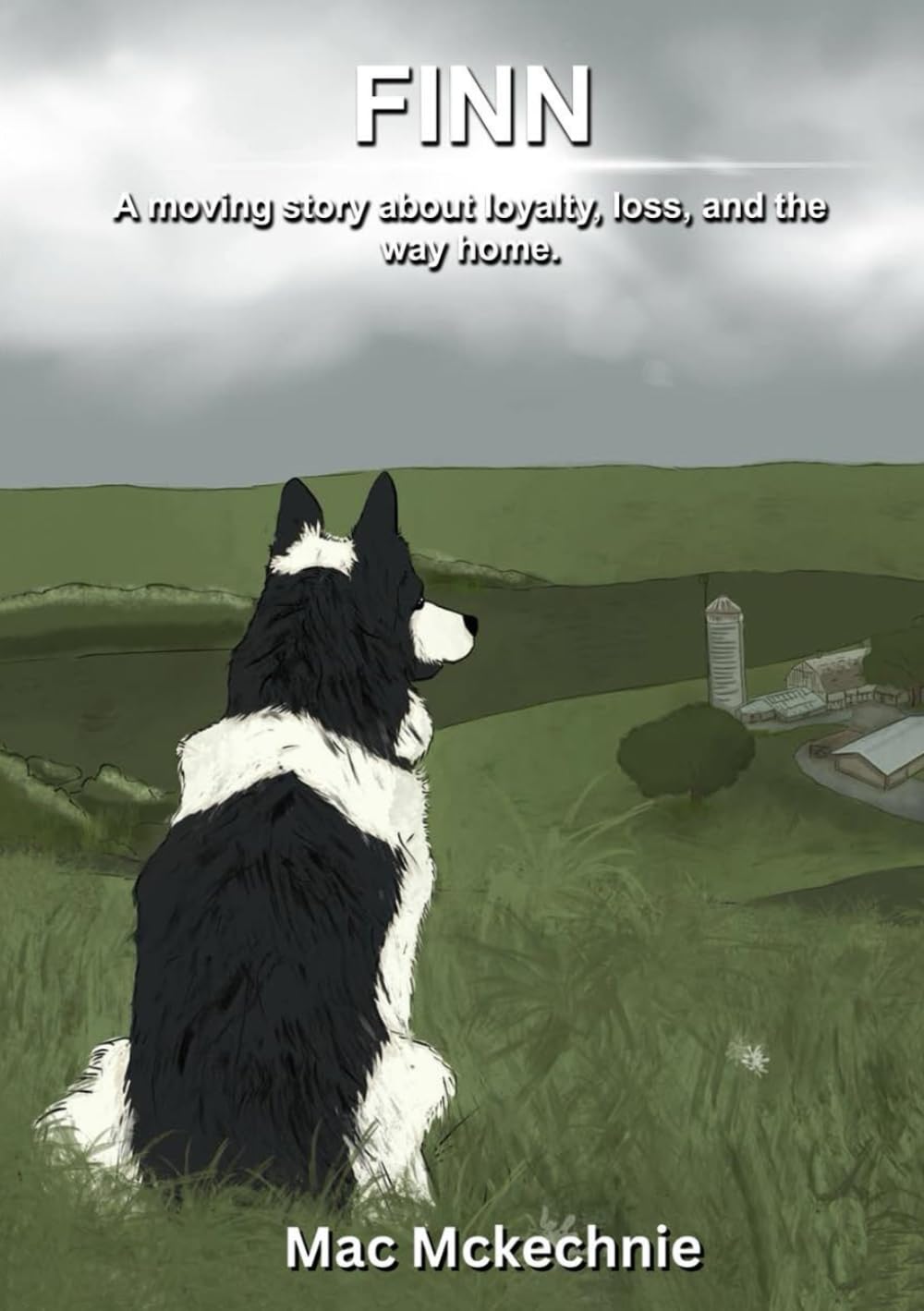 Finn: A moving story about loyalty, loss, and the way home.