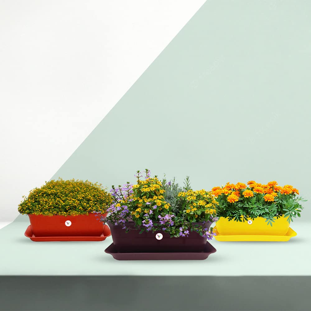 See full amazon price history chart for VINSHRA 20-Inch Rectangular Plastic Flower Pot Brownish Purple and Red, Yellow with Suitable Bottom Tray, Set of 3 | Window Planter | Make Garden Indoor Outdoor Pots | Lightweight VINSHRA 20-Inch Rectangular Plastic Flower Pot Brownish Purple and Red, Yellow with Suitable Bottom Tray, Set of 3 | Window Planter | Make Garden Indoor Outdoor Pots | Lightweight (B08M3SLPPY) Amazon Price History, Amazon Price Tracker