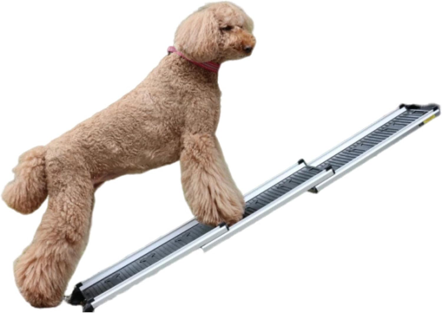 Hakusan Dog Slope - Adjustable Dog Safety Ramp
