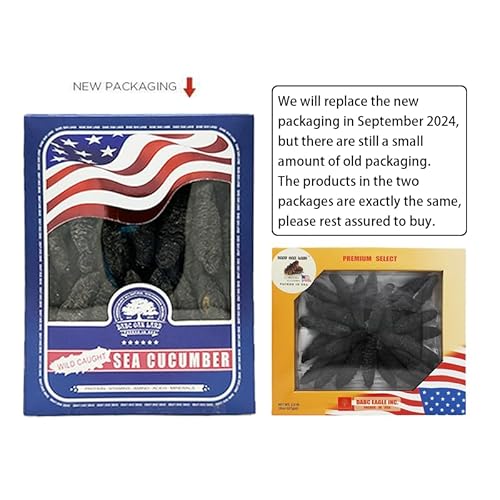 Dabc Oak Land Dol Wild Caught,Sun Dried Atlantic Black Pin Sea Cucumber All Natural Nutritious,大西洋岩刺參 小黑刺海參 thumb #1